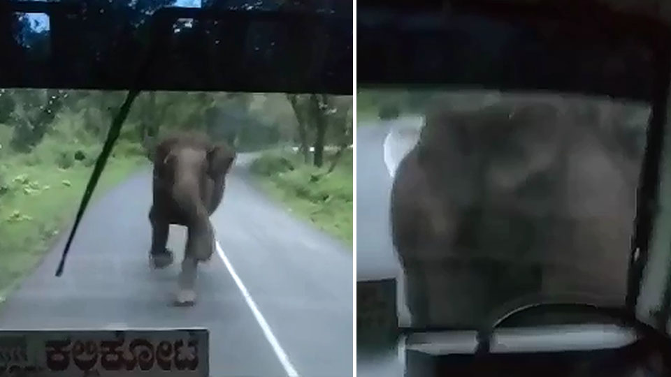 ಕೆ.ಎಸ್.ಆರ್.ಟಿ.ಸಿ  ಬಸ್ ಮೇಲೆ ಆನೆ ದಾಳಿ