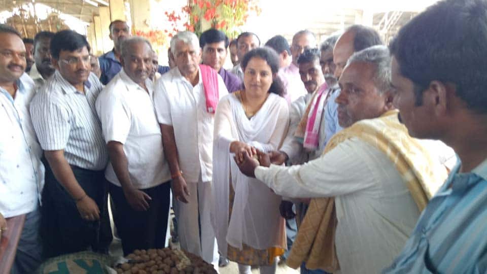 ಆಲೂಗಡ್ಡೆ ಬಿತ್ತನೆ ಬೀಜ ವಿತರಣೆಗೆ ಜಿಲ್ಲಾಧಿಕಾರಿ ಚಾಲನೆ