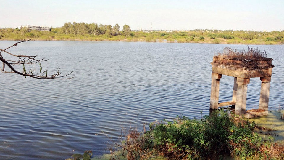 ಲಿಂಗಾಂಬುದಿ ಕೆರೆ ಅಭಿವೃದ್ಧಿಗೊಳಿಸಿ