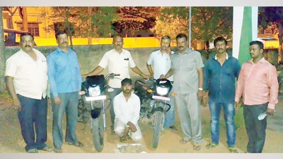 ಚಿಪ್ಪು ಹಂದಿ ಮಾರಾಟ: ವ್ಯಕ್ತಿ ಬಂಧನ