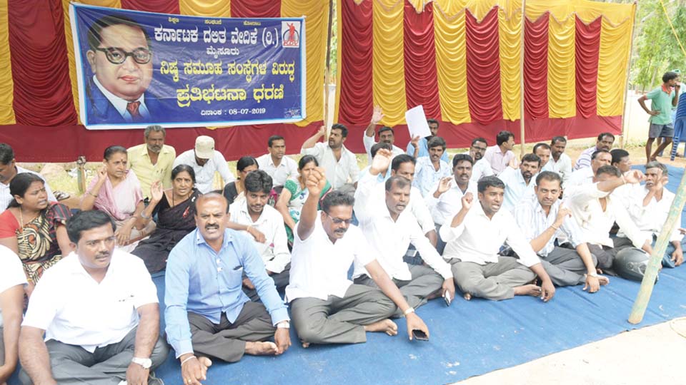 ನಿಷ್ಕ ಕಂಪನಿ ವಂಚನೆ ವಿರುದ್ಧ ದಲಿತ ವೇದಿಕೆ ಸದಸ್ಯರ ಪ್ರತಿಭಟನೆ