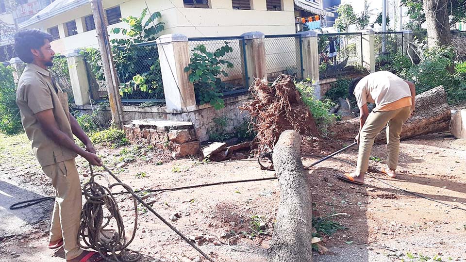 ಮೈಸೂರಲ್ಲಿ ಸತತ 5ನೇ ದಿನವೂ ಮಳೆ