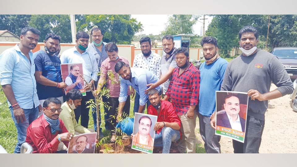 ಕೇಂದ್ರ ಸಚಿವರಾಗಿದ್ದ ಅನಂತಕುಮಾರ್  61ನೇ ವರ್ಷದ ಹುಟ್ಟುಹಬ್ಬ ಆಚರಣೆ