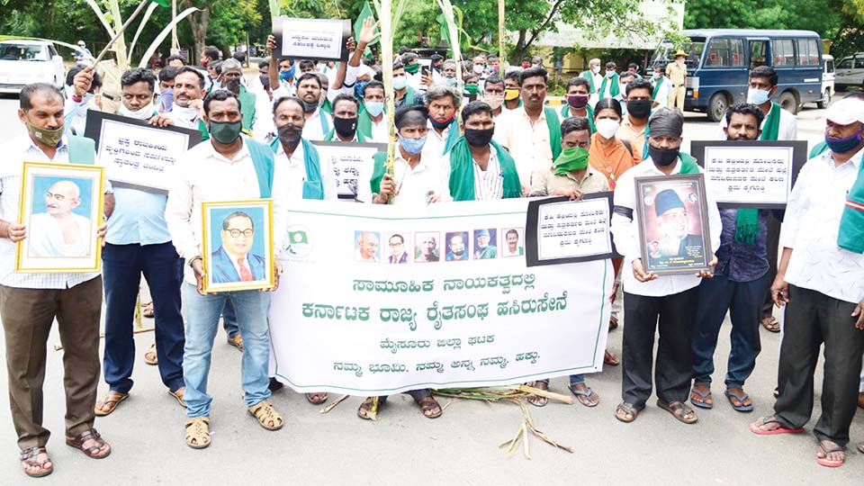 ಸರ್ಕಾರದ ರೈತ ವಿರೋಧಿ ನಿಲುವು ಖಂಡಿಸಿ ರೈತಸಂಘ ಪ್ರತಿಭಟನೆ