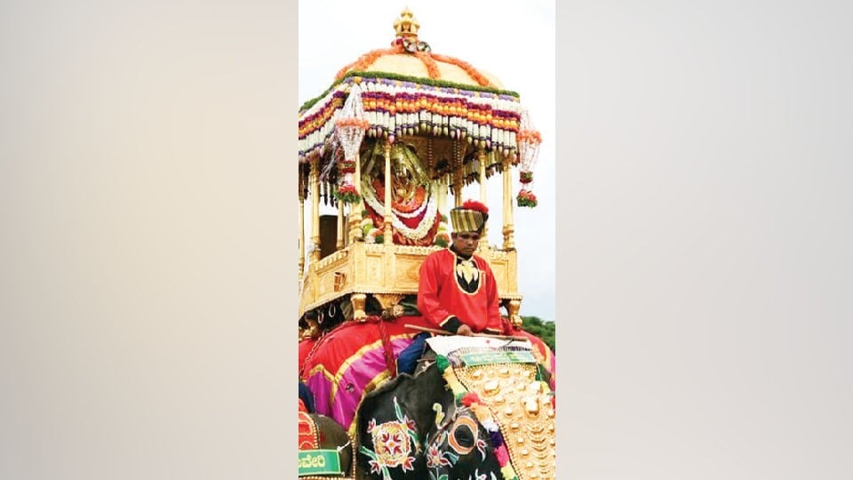 ಈ ಸಲದ ಅದ್ಧೂರಿ ಜಂಬೂಸವಾರಿಯನ್ನು ಪ್ರತ್ಯಕ್ಷವಾಗಿ 15 ಲಕ್ಷ ಜನ ವೀಕ್ಷಿಸಿದ್ದಾರೆ